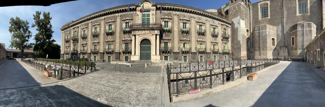 Zinbi's House